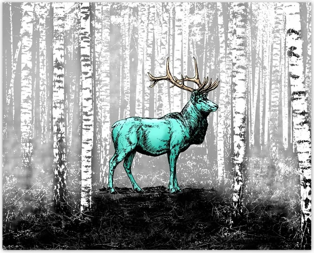 Poszterek 50x40 Szarvas Nyírfa Erdő