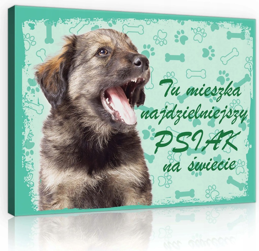 Vászonkép 60x40 Kiskutya kutya portré öröm játék mancsok türkiz pozitív