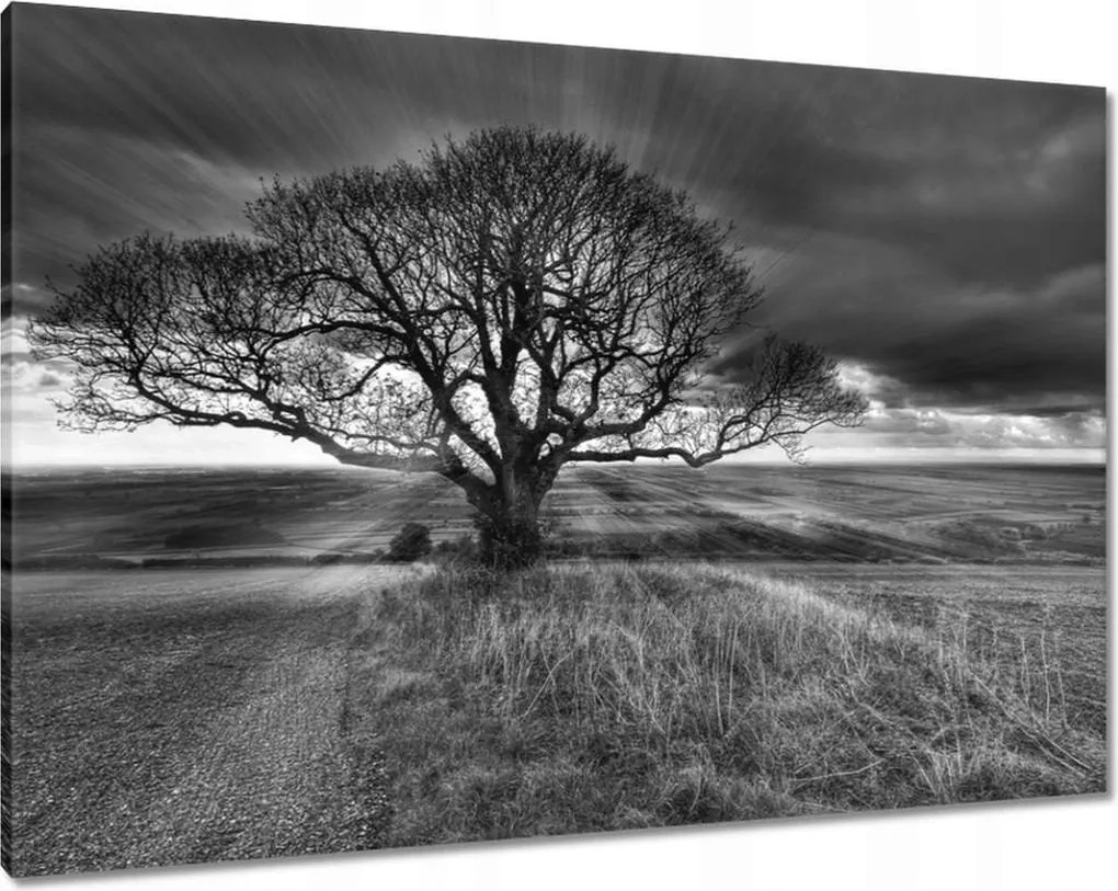 Vászonkép 100x70 Gyönyörű naplemente