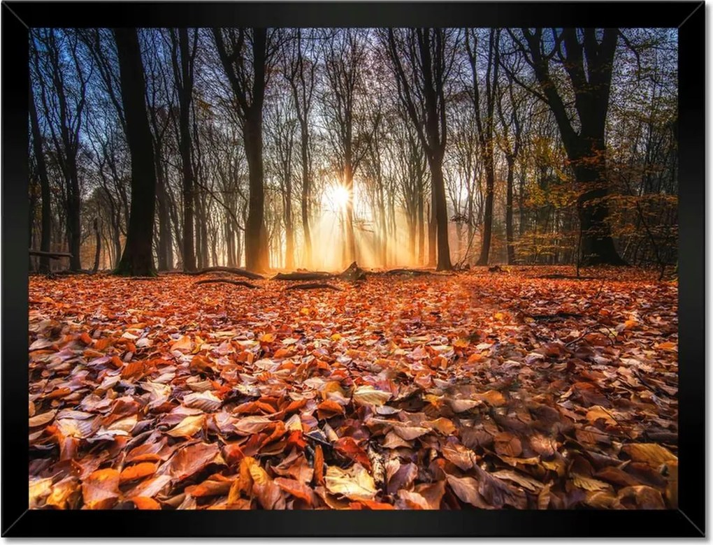 Poszterek keretben 40x30 Őszi kilátás Tájkép