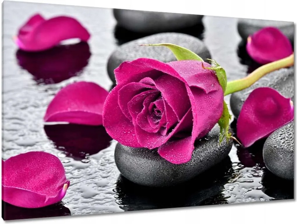 Vászonkép 120x80 Rózsaszín rózsa köveken
