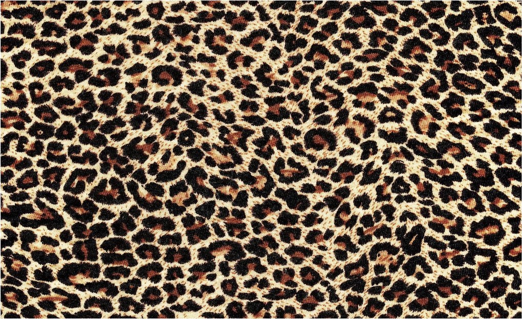 Leopárd fotótapéta Egzotikus vinil 312x219 hálószoba nappali +ragasztó