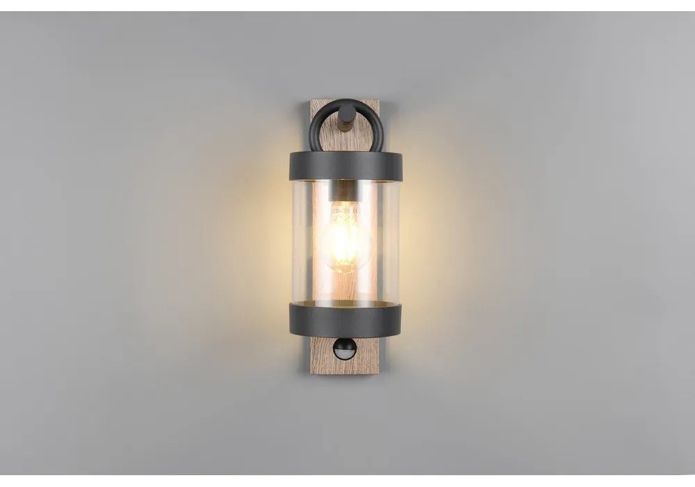 Fali kültéri lámpa (magasság 33 cm) Sambesi – Trio