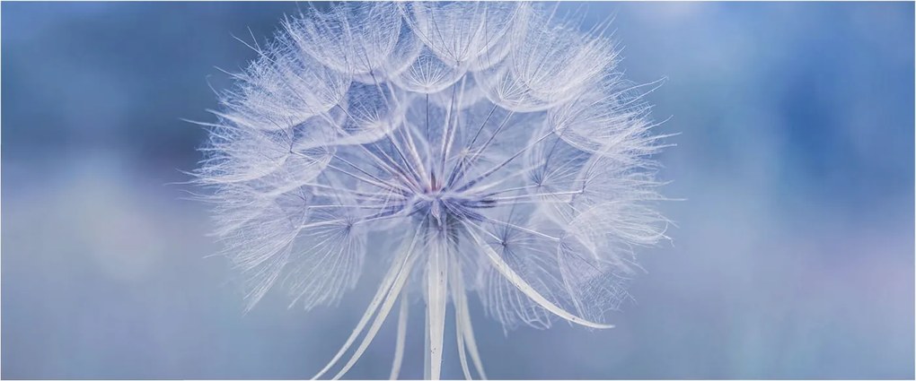 Fali fotótapéta Étkezőbe Kék finomság 250x104