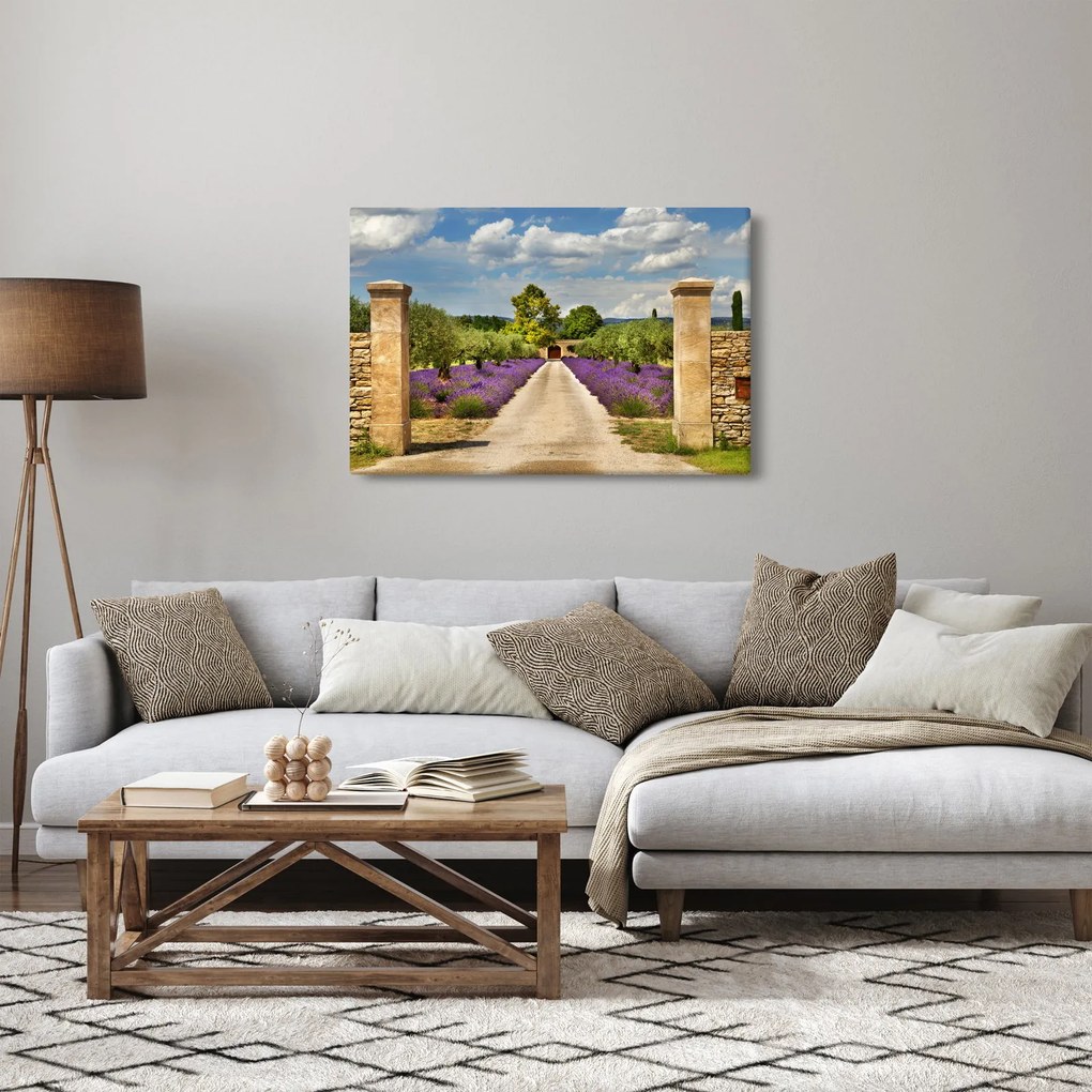 Kép - Levendula ösvények (90x60 cm)