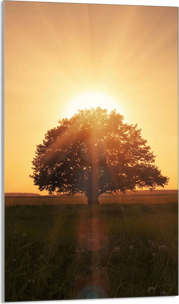 Üveg Vágódeszka 30x52 Fa A Konyhába