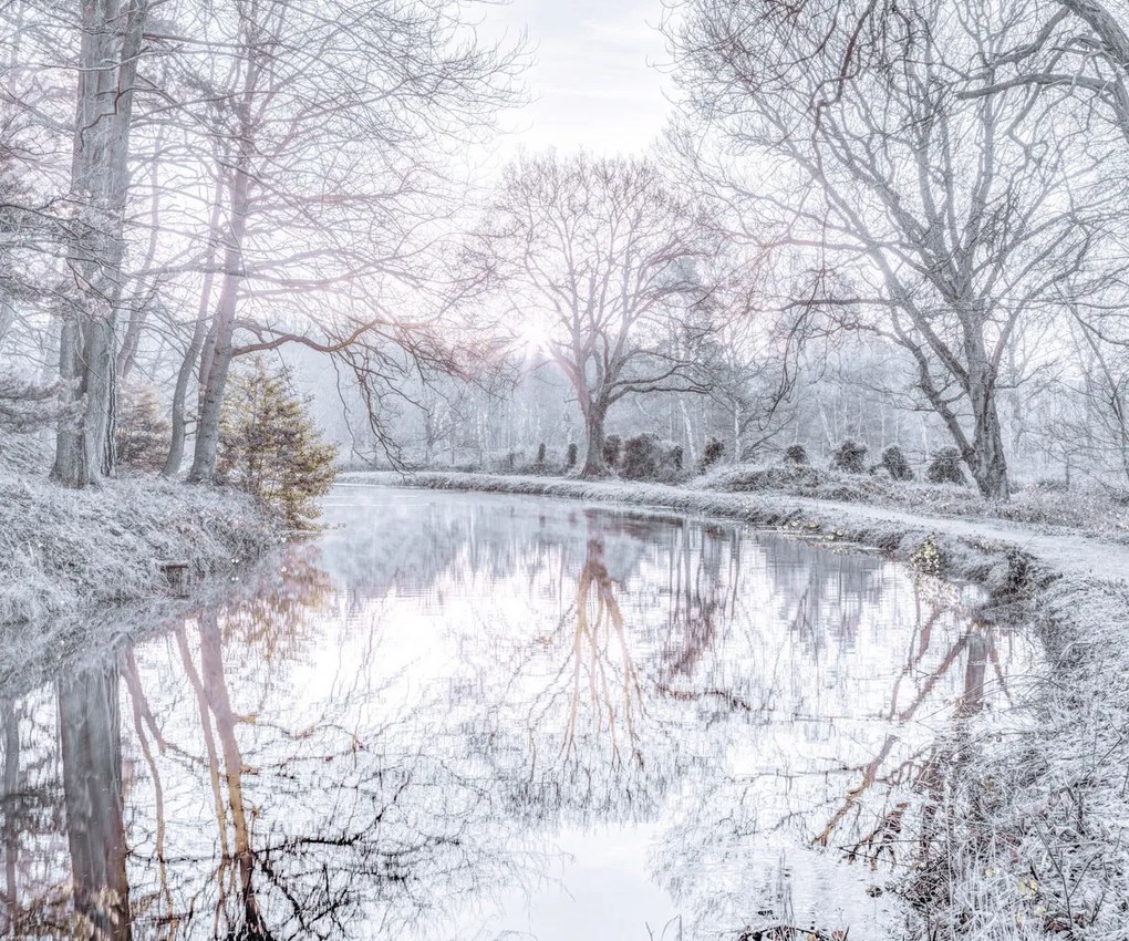 Poszter 60x50cm Csatorna fákkal, Assaf Frank