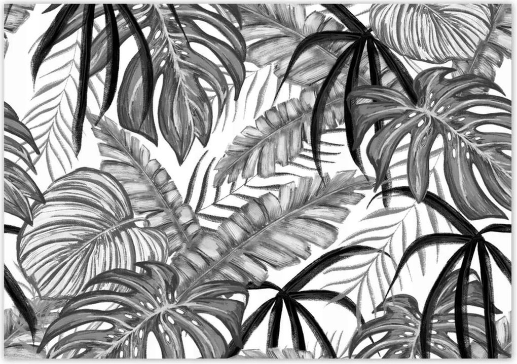 Poszterek 100x70 Monstera Zöld levél