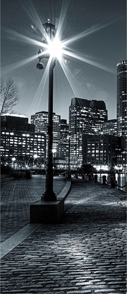 Flizelin fotótapéta Virágok Bazsarózsa Botanikus Minta 91x211 +ragasztó