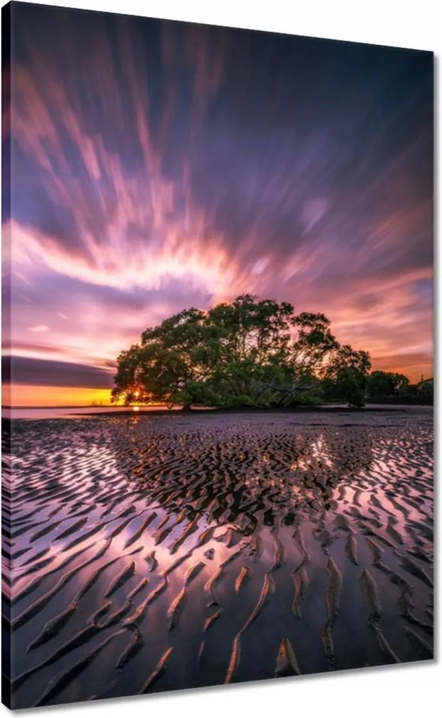 Vászonkép 50x70 Gyönyörű lila tájkép