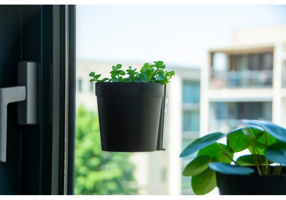 Műanyag függő és fali virágcserép készlet 2 db-os ø 10 cm – Esschert Design