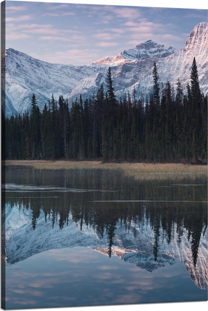 Vászonkép Tópart Víz Erdők Hó hegyek 80x120 cm