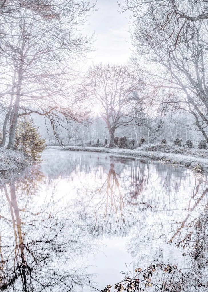 Poszter 50x70cm Csatorna fákkal, Assaf Frank