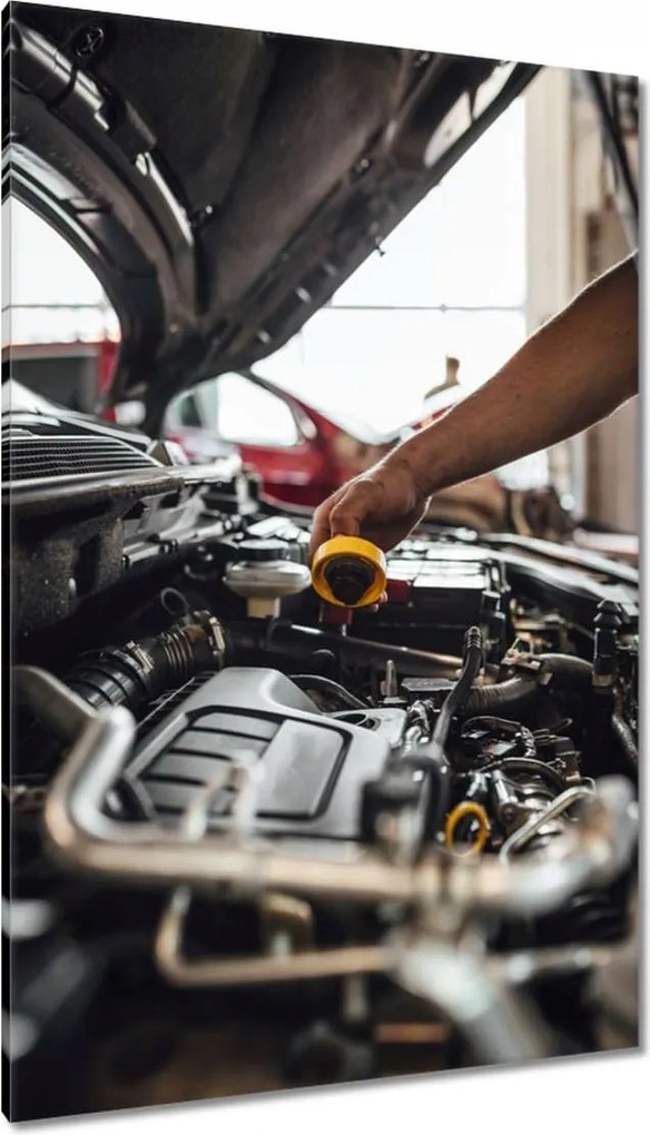 Festmények 80x120 Autó műszaki ellenőrzés