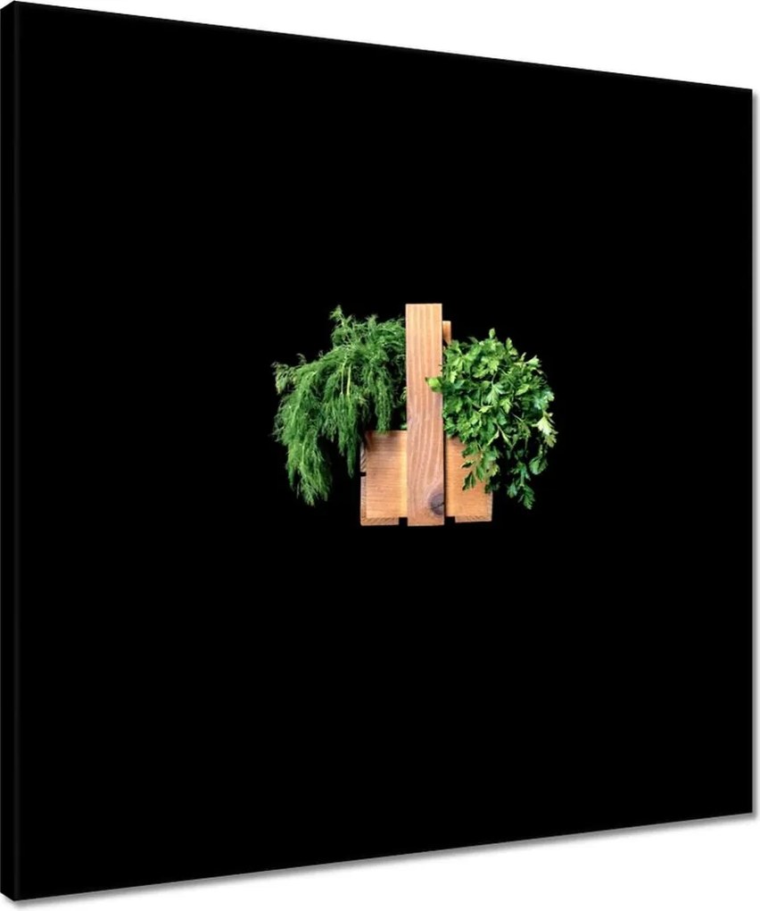 Vászonkép 50x50 Petrezselyem kapor gyógynövények