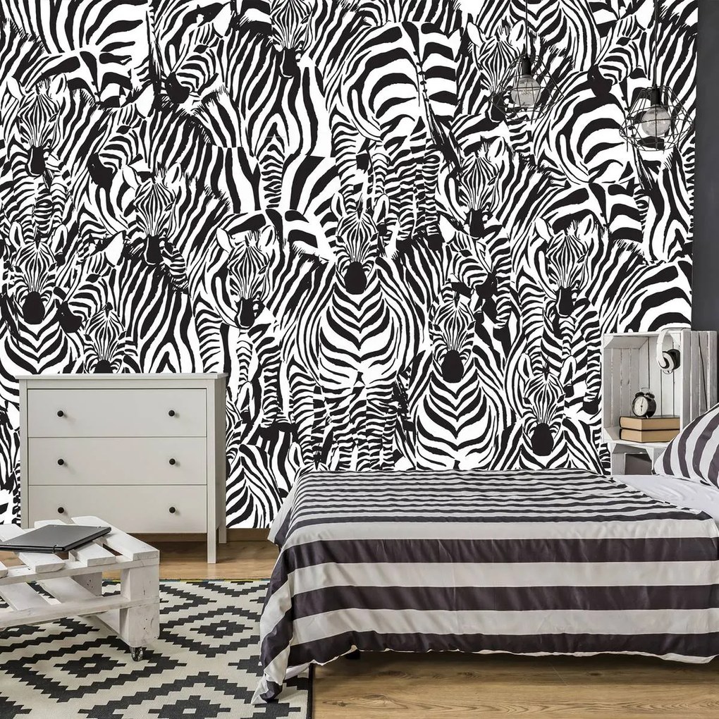 Fotótapéta - Zebra (152,5x104 cm)