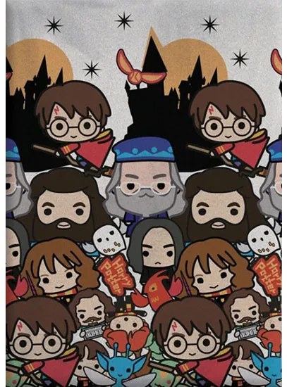 Harry Potter Spellbound polár takaró 100x140cm