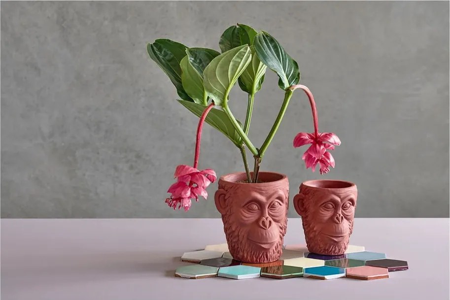 Calbe piros virágcserép ø 19 cm - Villa Collection