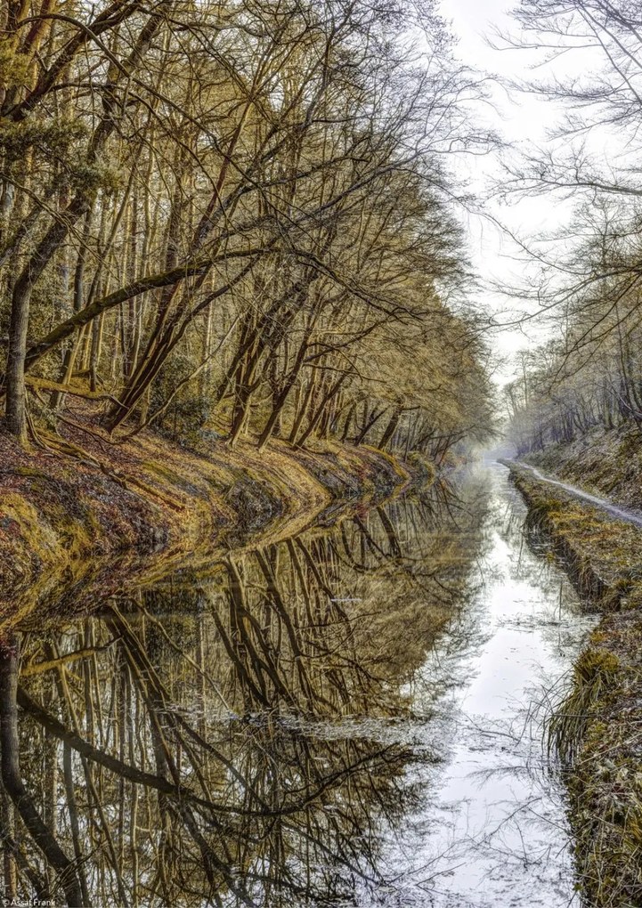 Poszter 21x29,7cm Csatorna az erdőben, Assaf Frank