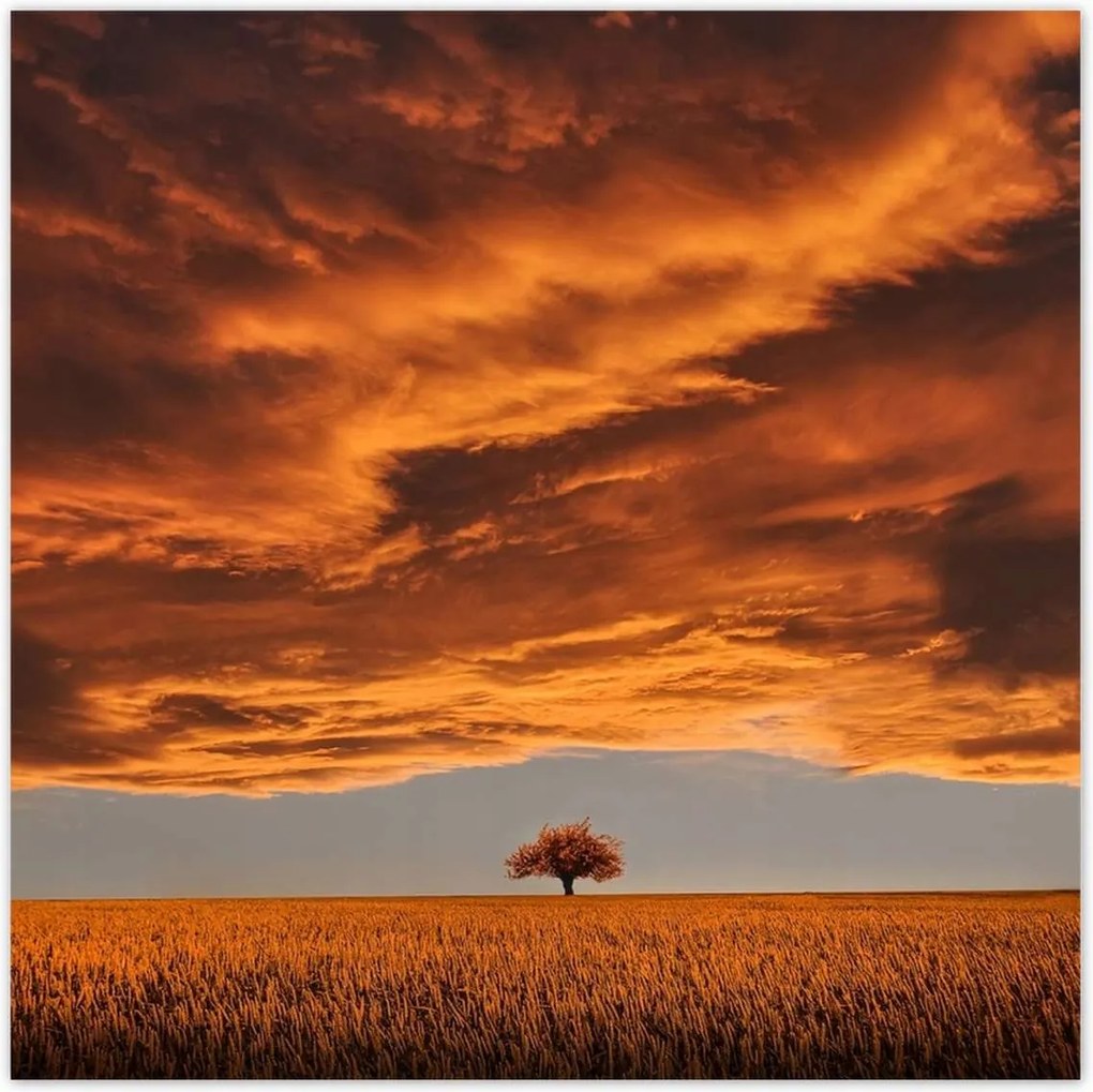 Poszterek 100x100 Narancssárga égbolt