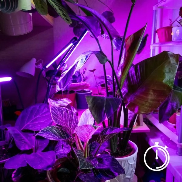 Brilagi-LED Dimmelhető lámpa klipsszel növények termesztésére VITABLOOM 3xLED/10W/230V