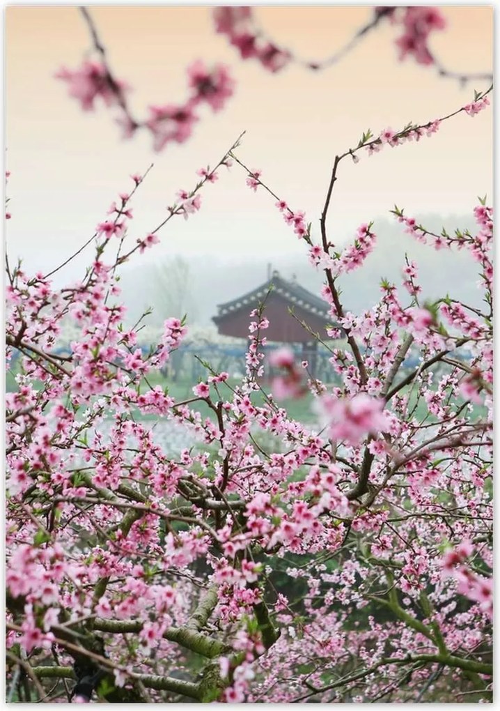 Poszterek 70x100 Japán Orient Buddhizmus