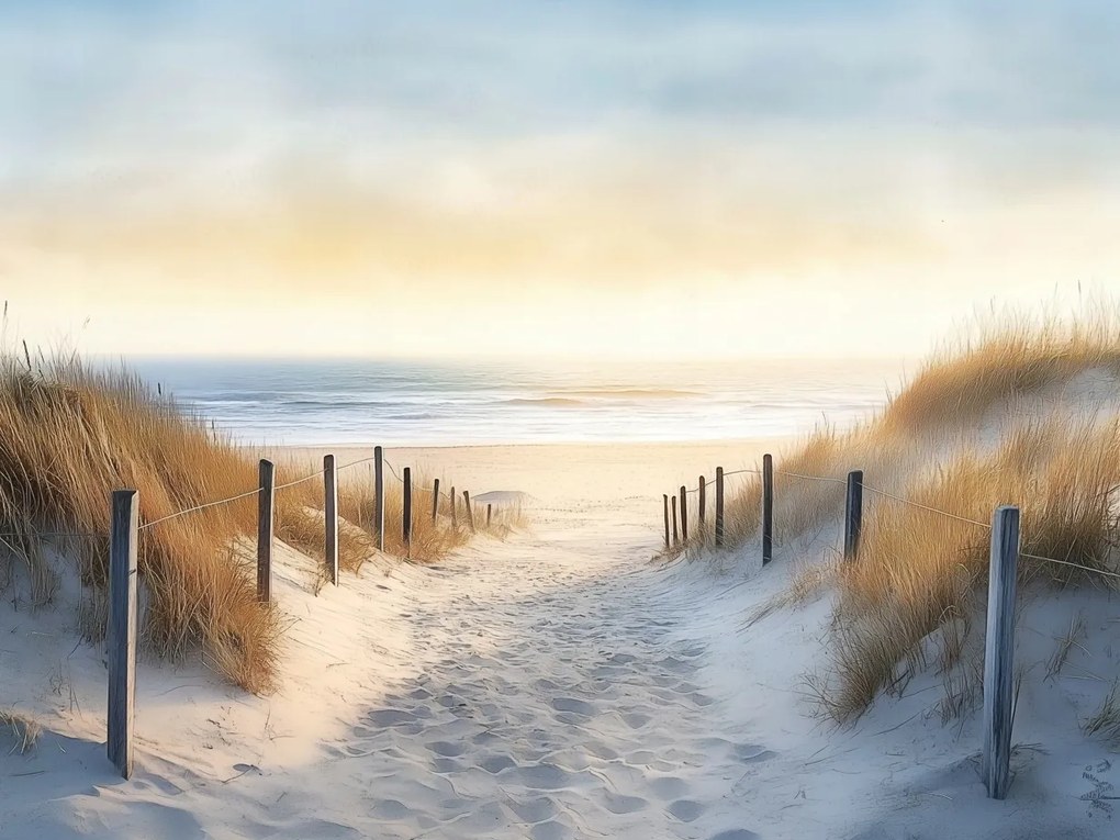 Vászonkép Canvas Balti-tenger Dűnék Tengerpart Naplemente 80 x 60