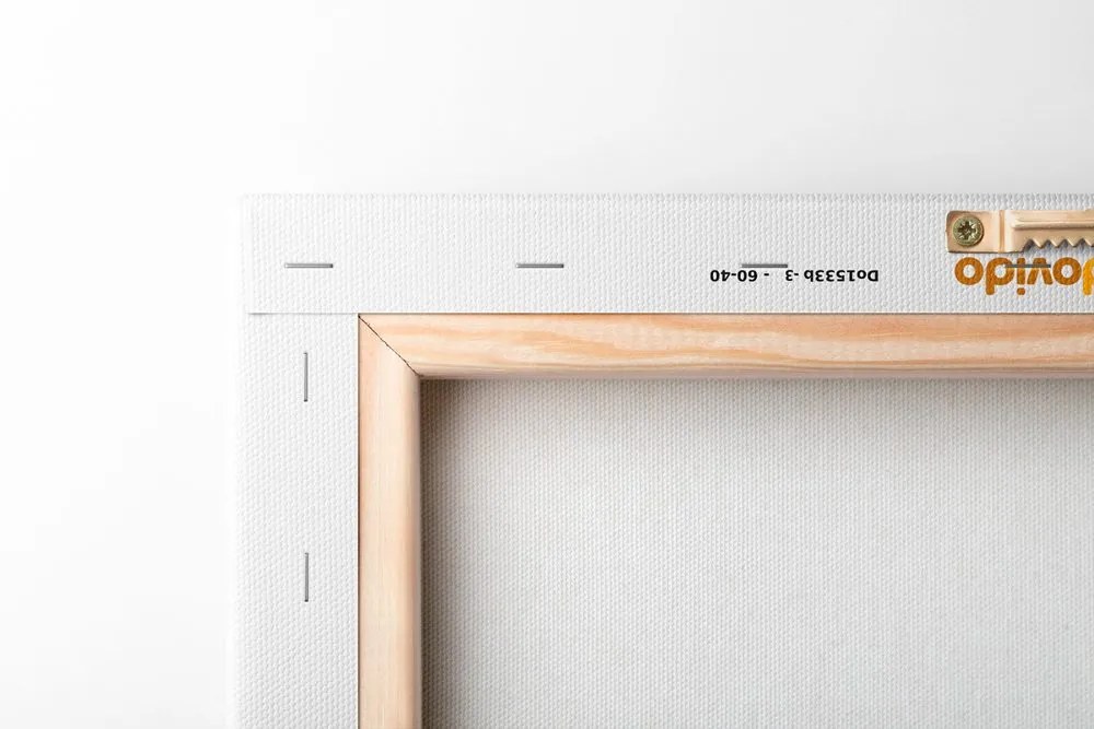 Kép minimalista levél fehér háttéren No3