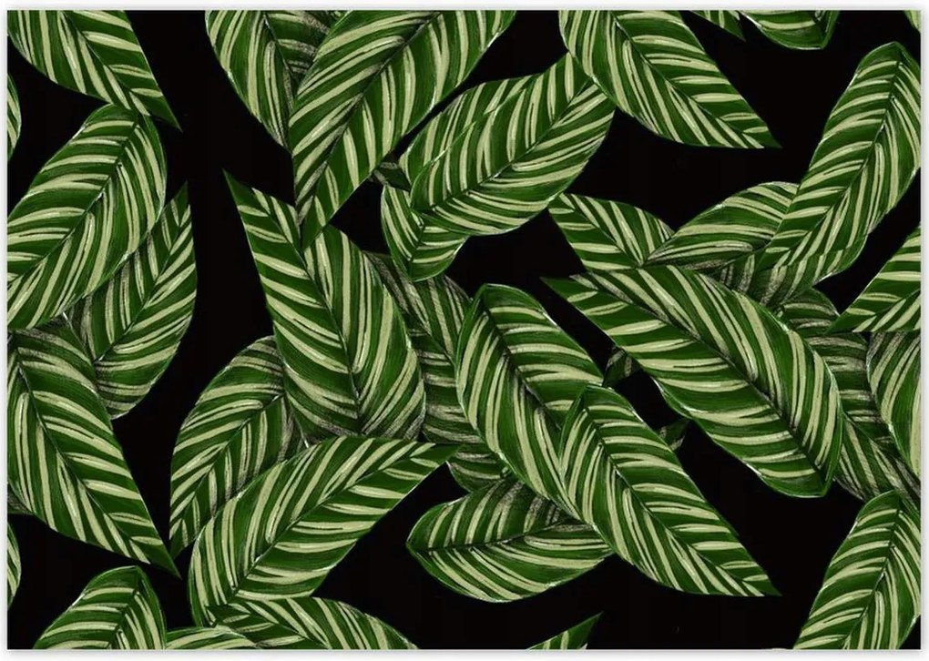 Poszterek 100x70 Zöld levelek Trópusok