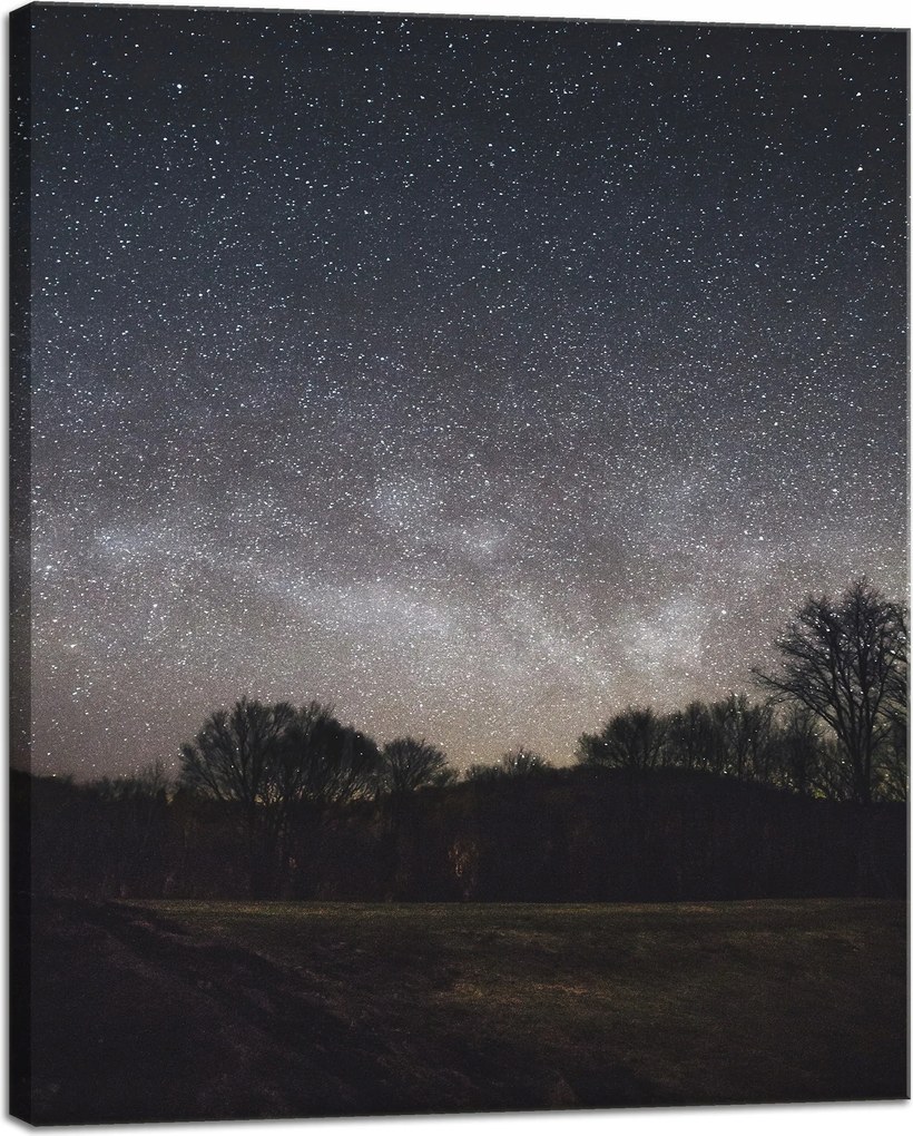 Vászonkép Kozmosz Csillagos égbolt 40x50