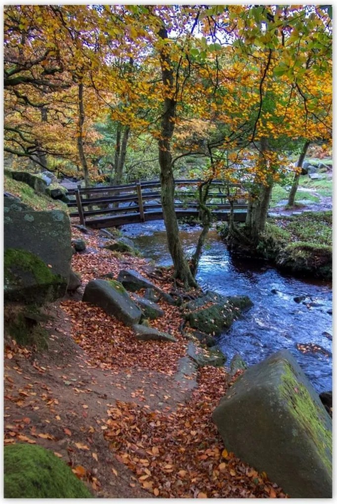 Poszterek 80x120 Híd a parkban