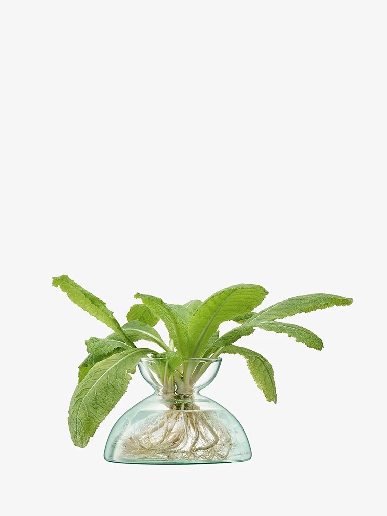 Baldachinos váza, magassága 9,5 cm, átlátszó - LSA International