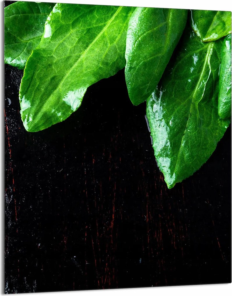 Üveg Vágódeszka 40x52 Bazsalikom Konyha