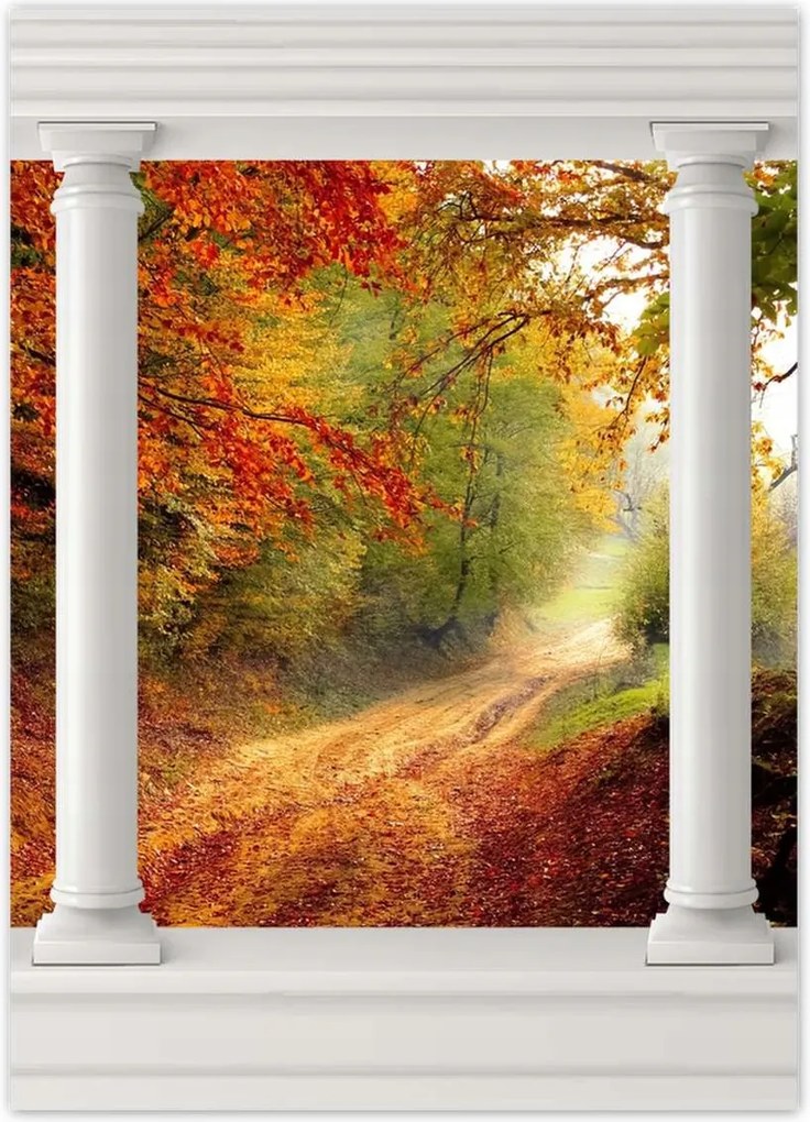 Poszterek 50x70 Út az erdőben ősz