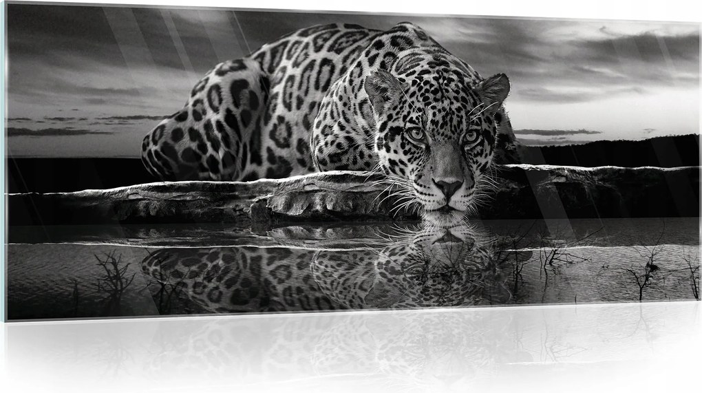 Üvegfestmény Állatok Gepárd Tigris Fekete-fehér Nagy 125x50
