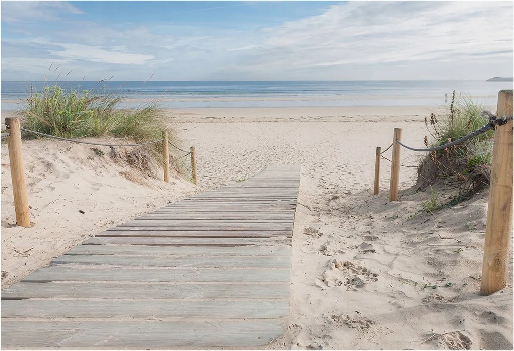 Fali fotótapéta előszoba konyhához Fa járda 152x104 Ragasztó