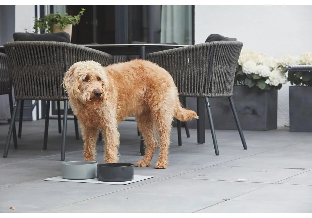 Porcelán tálka kutyáknak ø 20 cm Scodella Cement M/L – MiaCara