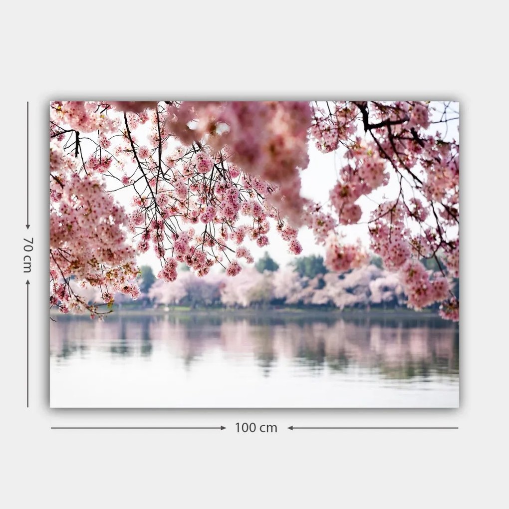 Vászonkép, 70×100 cm – TR441HPE1644