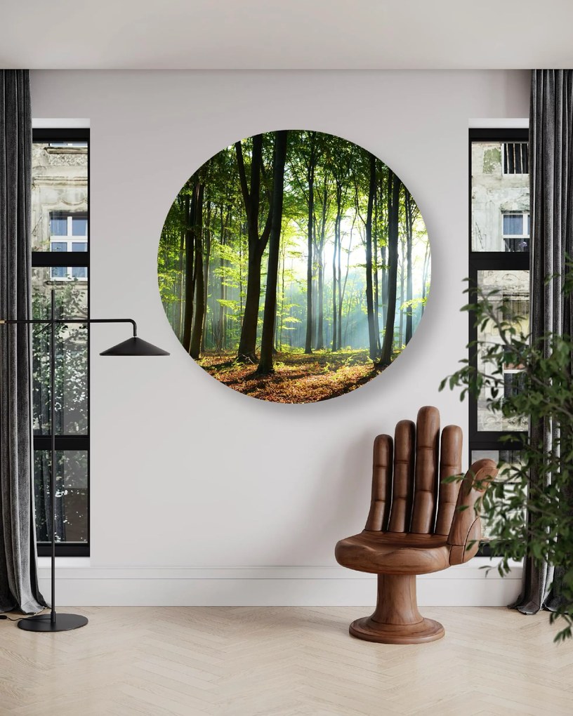 Gario Kerek vászonkép Napsugarak az erdõben Méret: 80 x 80 cm