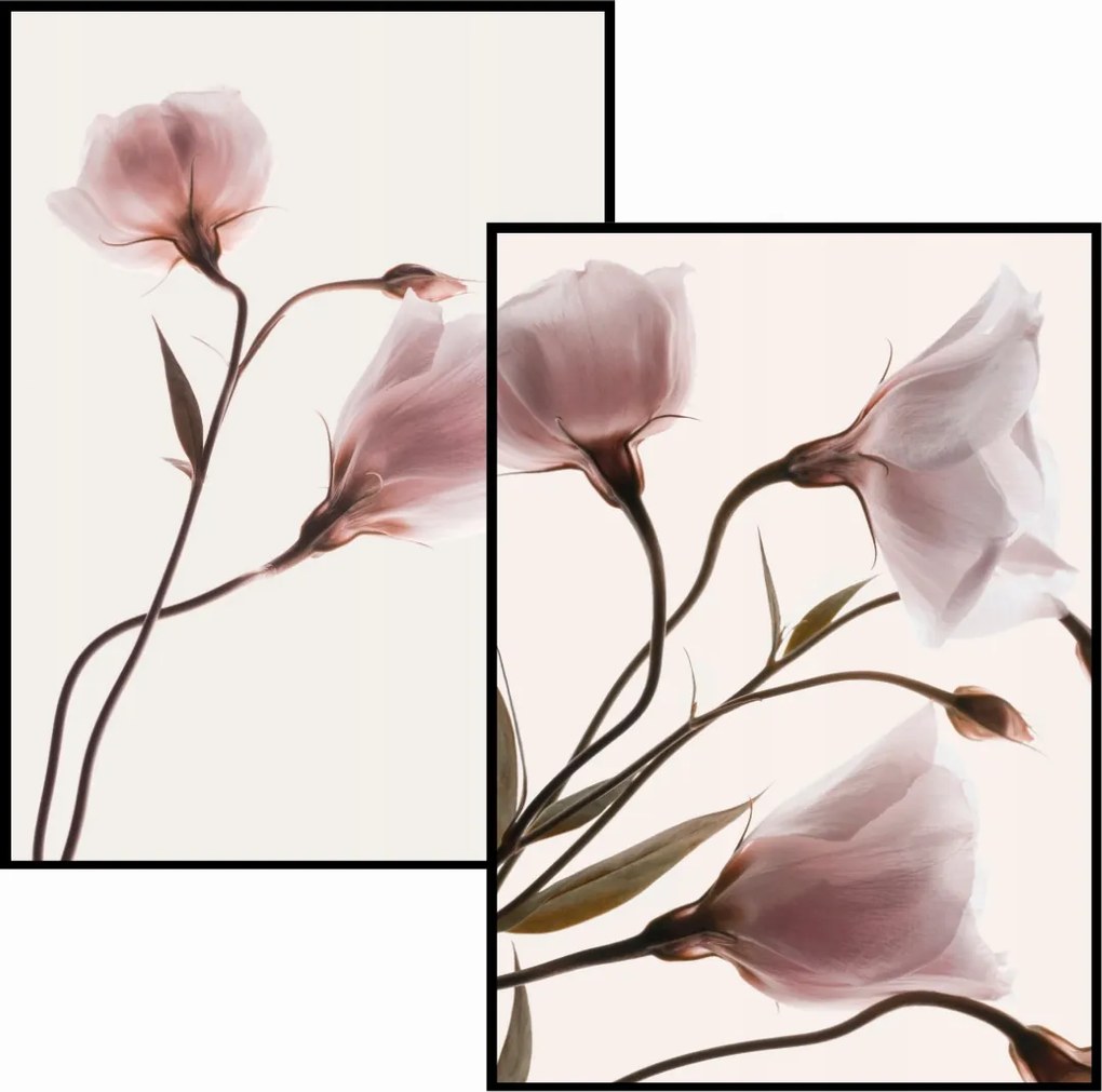 Eviero Poszter Szett 2db 40x50 rózsaszín virágok hálószoba spa nappali otthon