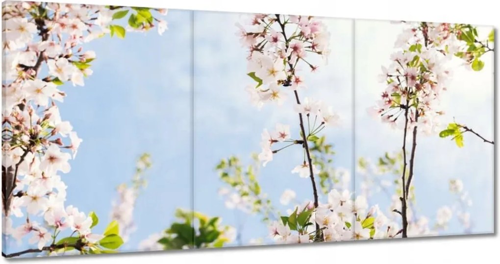 Vászonkép 120x60 Virágok