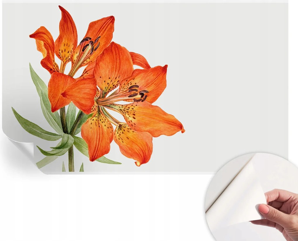 Dekoratív Öntapadós Tapéta Divatos Minták Narancs liliom 416x254 cm
