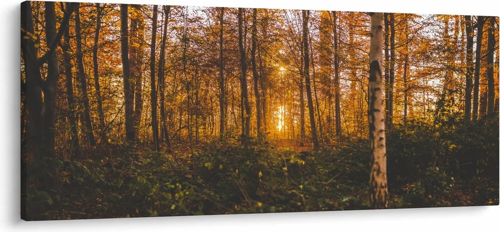 Egy őszi erdő képe (120x50 cm)