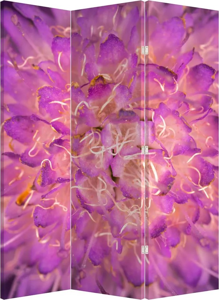 Paraván - Részletes virág (126x170 cm)