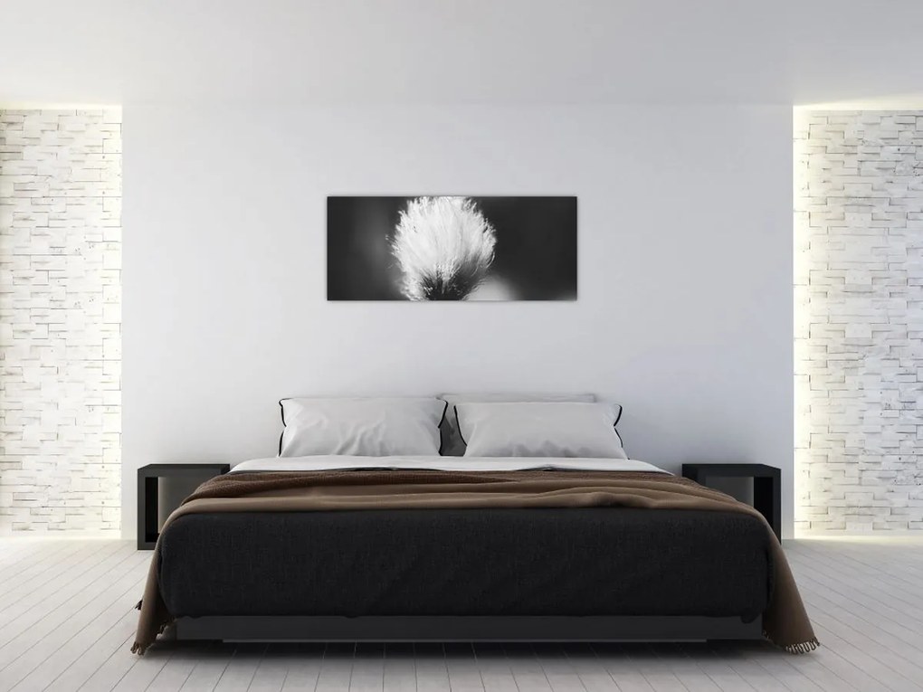 Kép - Fekete-fehér pamutfű (120x50 cm)