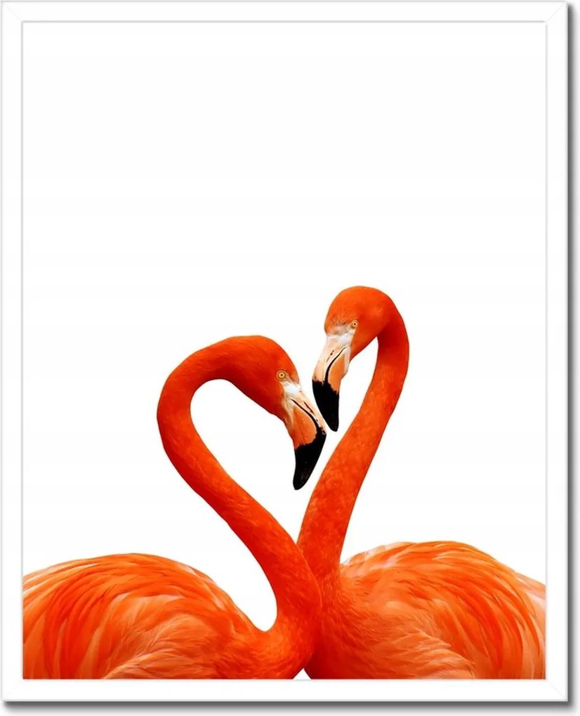 Poszterek keretben 40x50 Szerelmes flamingók