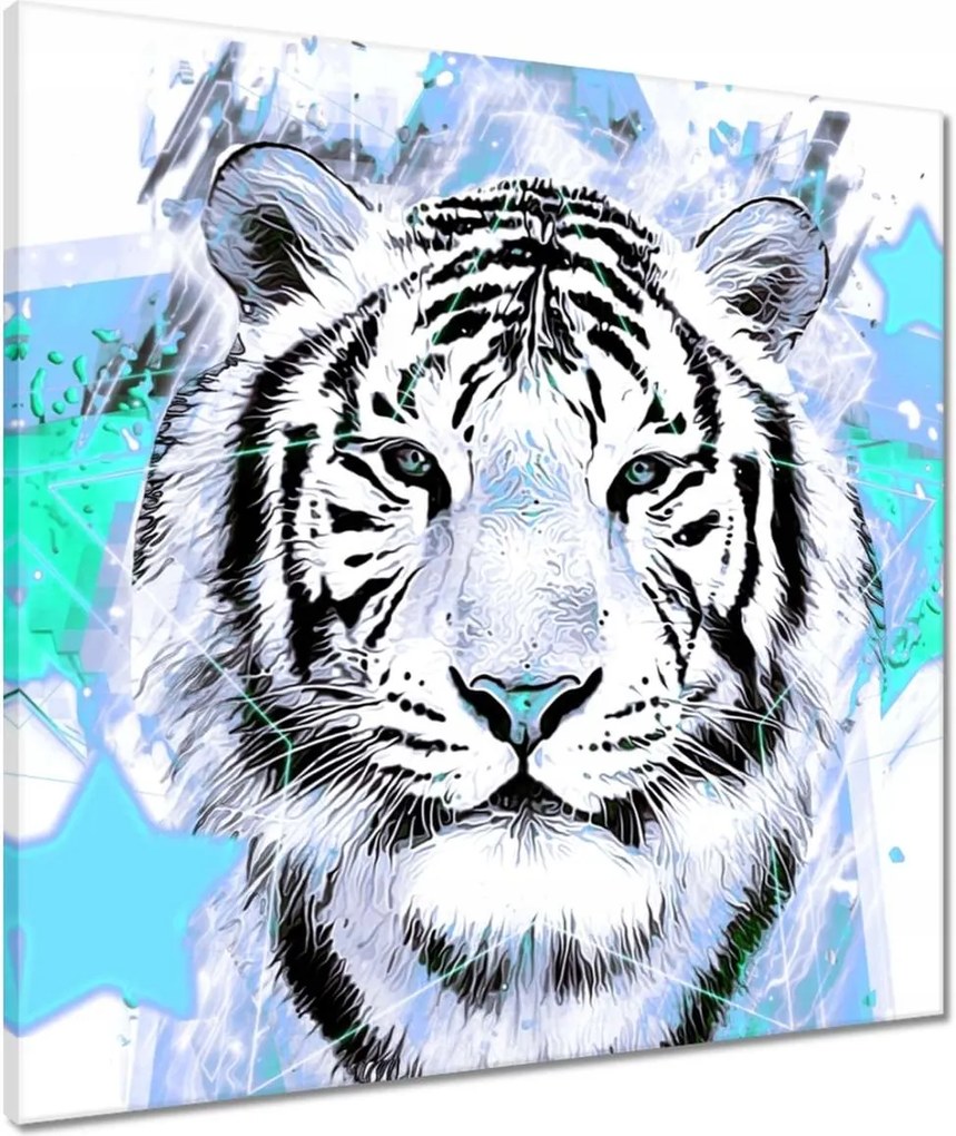 Vászonkép 60x60 Tigris csillag türkiz
