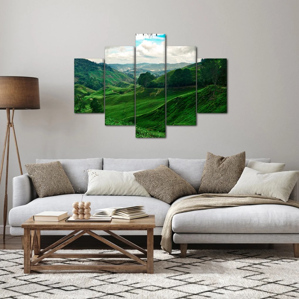 Kép - Teaültetvények Malajziában (150x105 cm)