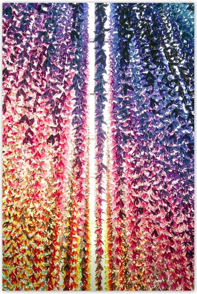 Poszterek 80x120 Többszínű origami