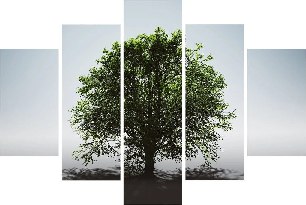 Kép - Magányos fa (150x105 cm)